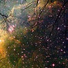 №52, Анжеліка Несен, 27 лет №52, Анжеліка Несен, 27 лет