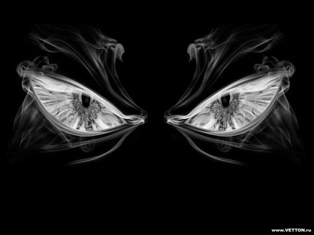 Вовчик Тиханов _____ | Воронеж