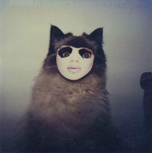 Сёма Гермогенов | Казань