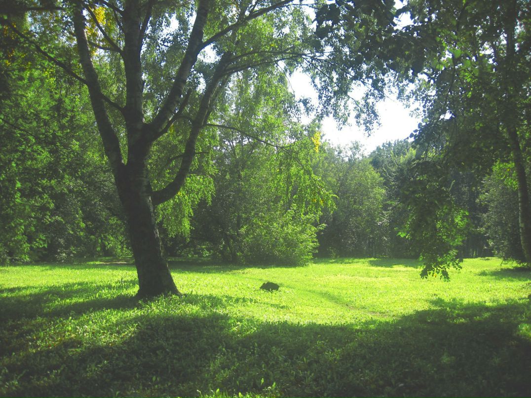 Oleg Olekshiy | Санкт-Петербург