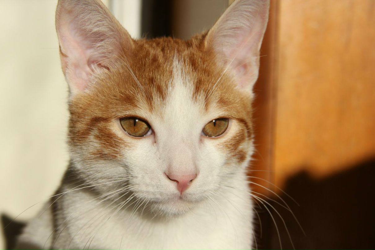 Виктория Борткевич | Beijing