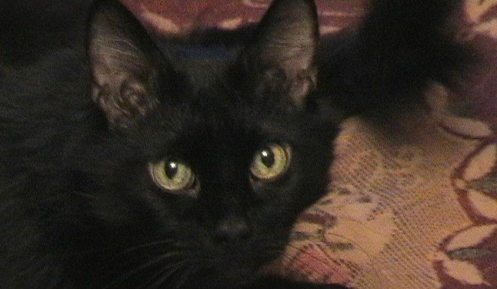 Наталья Ромачева | Санкт-Петербург