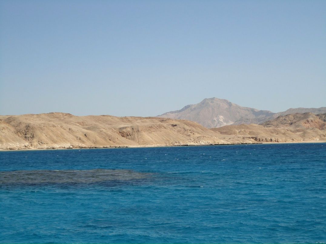 Юлия Задачина | Воронеж