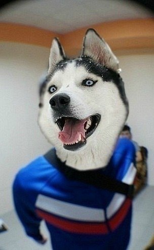 Радмир Муртазин (NEO) | Стерлитамак