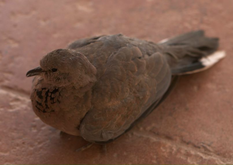 Егор Никонов | Санкт-Петербург