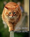 №39 Наташа Крупица 21.12: профиль, фото, статус - ВКонтакте