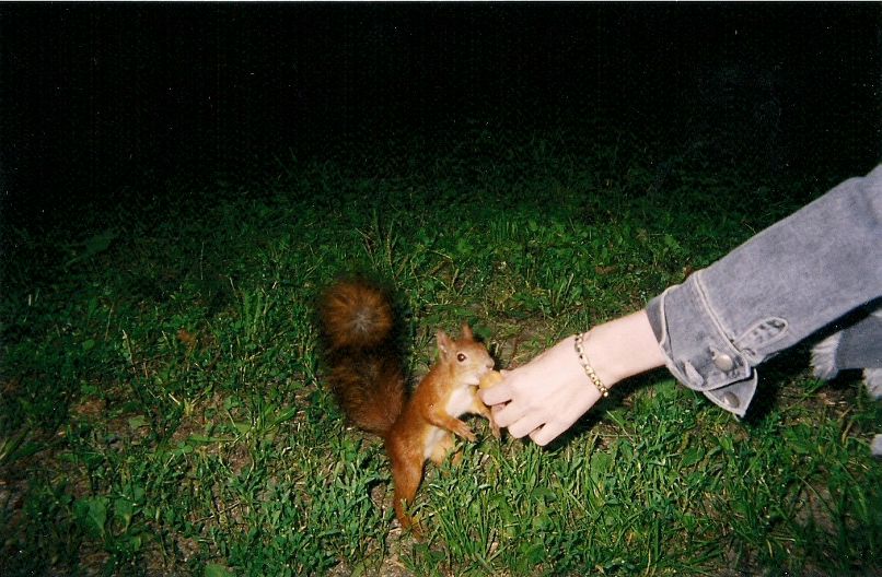 Маринка Гурская | Белая Церковь