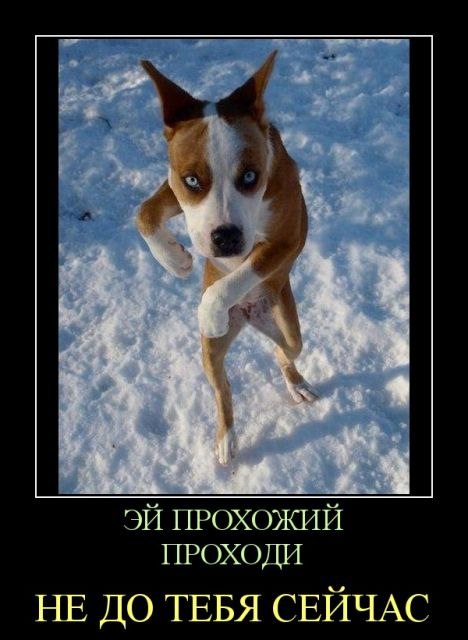 Юра Мудрик | 
