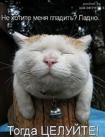 Андрей Ка | Москва