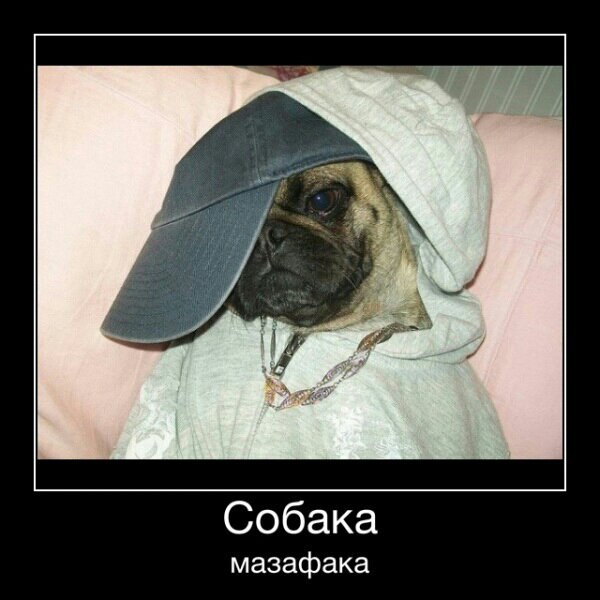 №44, Женя Задорожный, 37 лет, Хайфа №44, Женя Задорожный, 37 лет, Хайфа