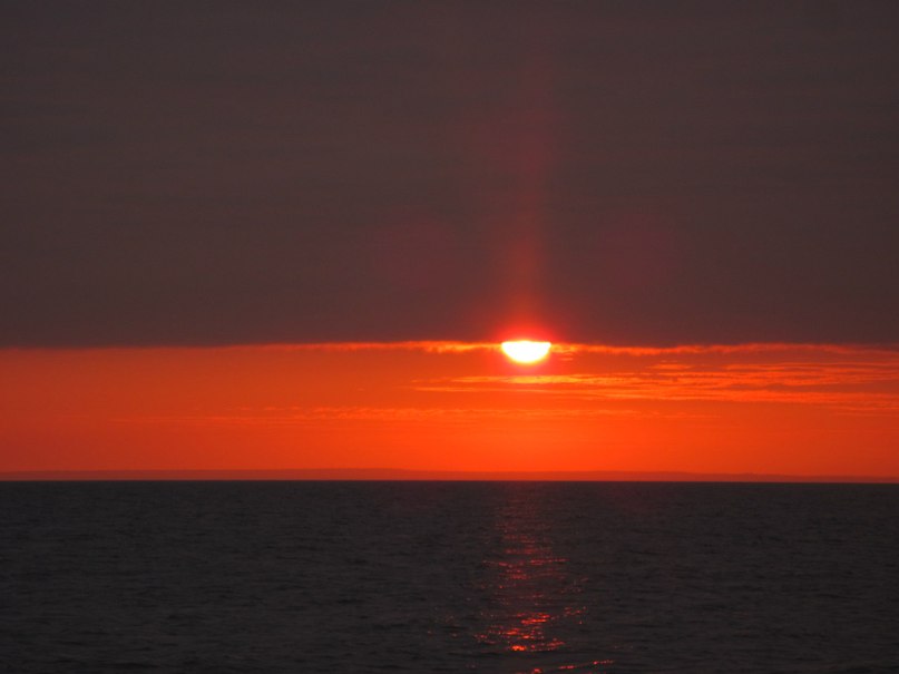 Роман Щелканов | Санкт-Петербург