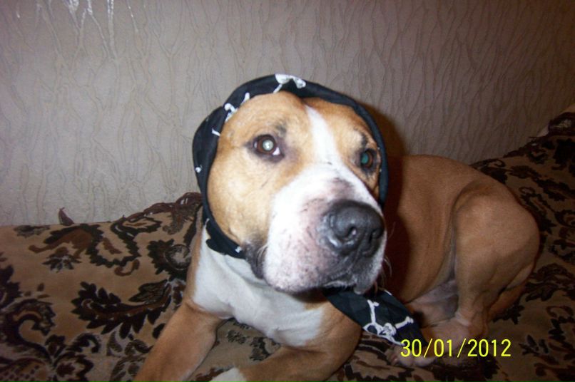 Геннадий Бормотов | Одесса