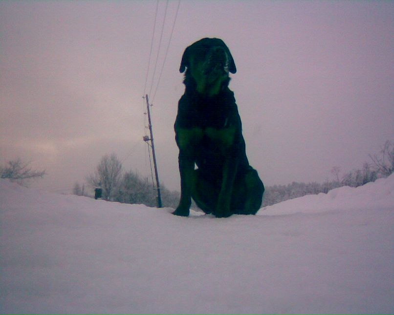 Александр Константинов | Йошкар-Ола