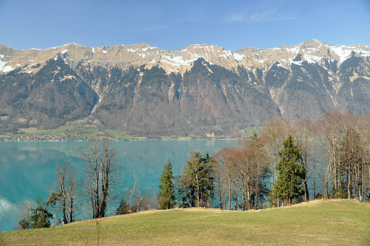 Алексей Мокренок | Находка