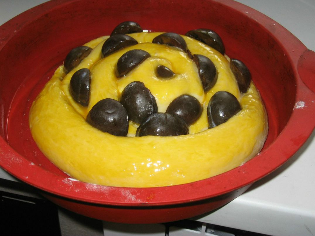 Варвара Плітус | 