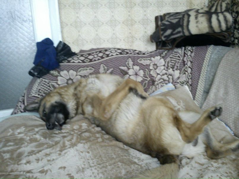 Миша Громов | Первомайский