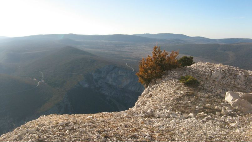 Аня Курчаева Lampa | Минск