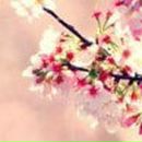 Елена Князева АЛЁНЧИК | Борисоглебск