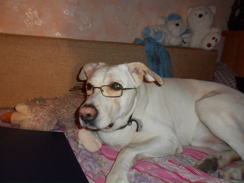 Людмила Юрченко | Пинск