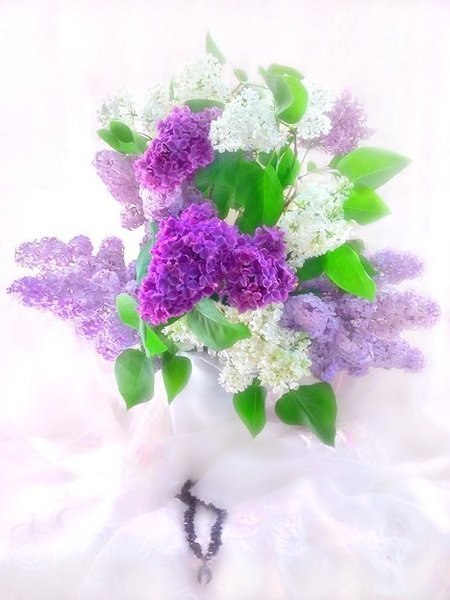 Алёна Лазарева | Москва