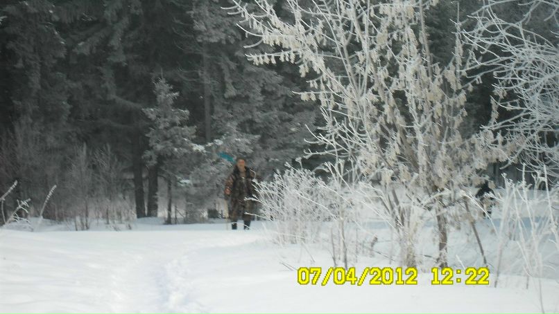 Михаил Силин | Пермь