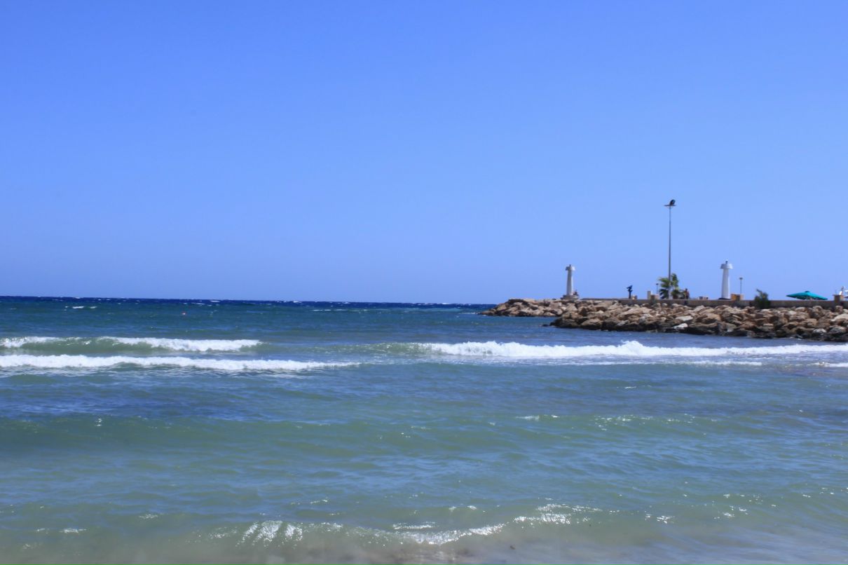 Ольга Саражина | 