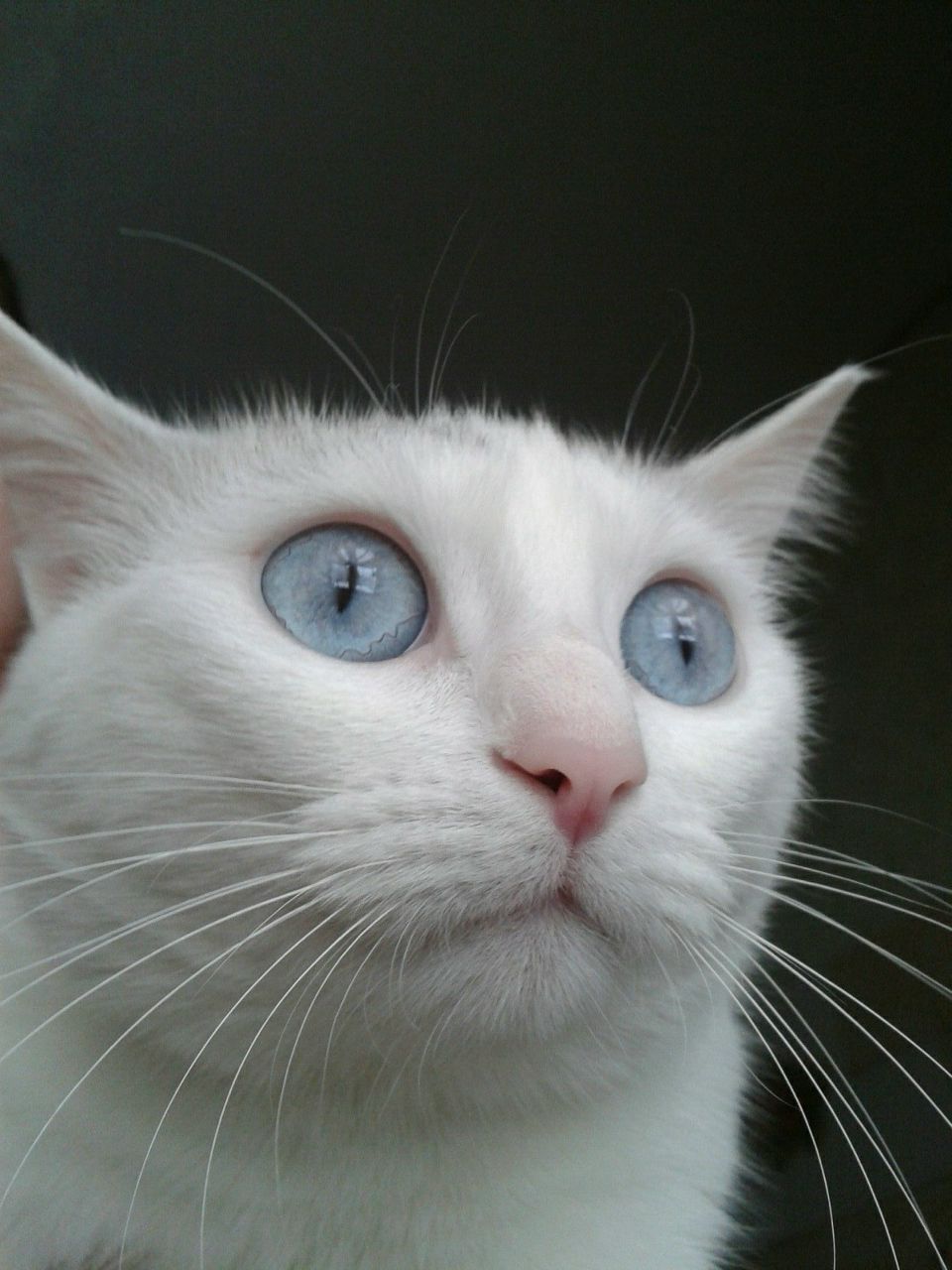 Руслан Сайранов | Казань