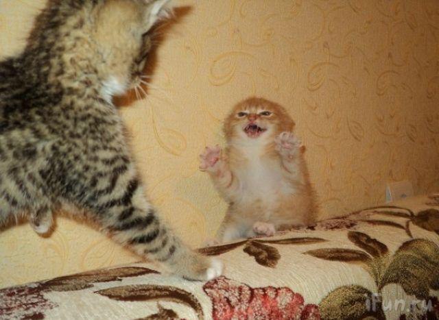 Константин Дмитриев Просто_Костя | Одесса