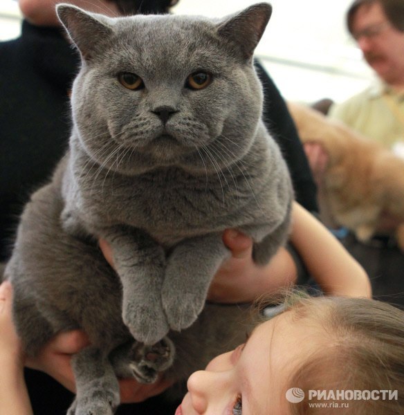 Марк Новиков | Сызрань