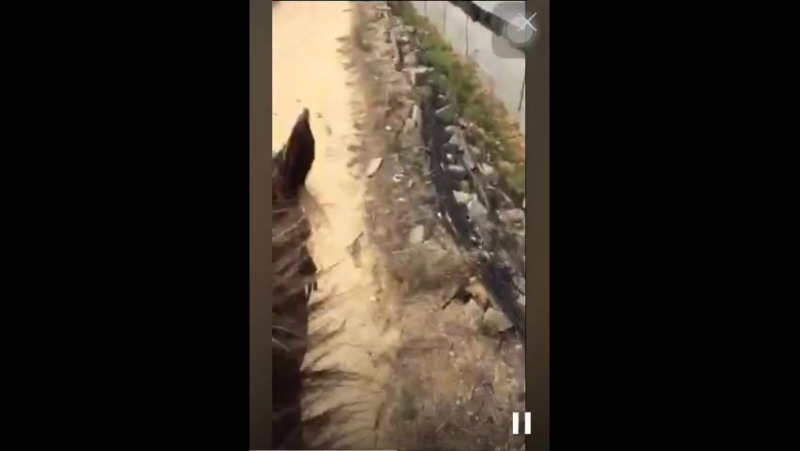 Ignazio Boschetto su Periscope, A