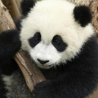 Михаил Кузнецов