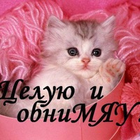 Ирина Дроздова