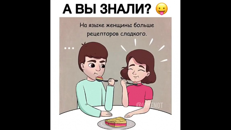 Различия мужчины и женщины