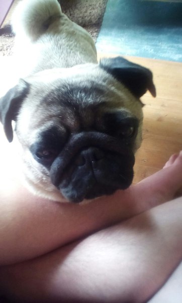 Артем Гусев, Россия, Москва