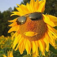 Игорь Валерьевич