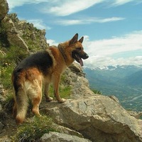 Алексей Борисенко