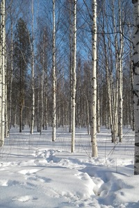 Нина Романова