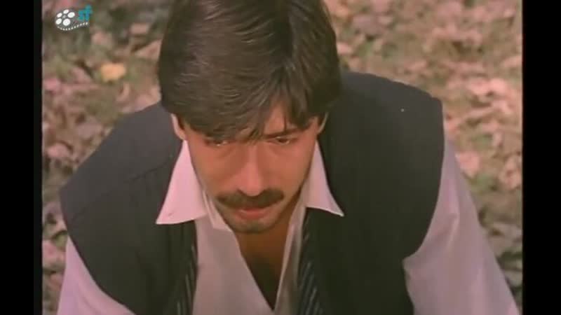 Perihan Savaş Yılmaz Zafer