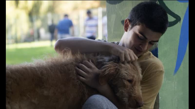 17 летний, Diecisiete