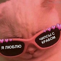 Алина Гурьева | 