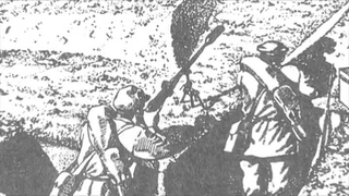 ВИНТОВОЧНЫЕ (РУЖЕЙНЫЕ) ГРАНАТЫ. ГРАНАТА ДЬЯКОНОВА, ВКГ-40, ВПГС-41. ОБЗОР