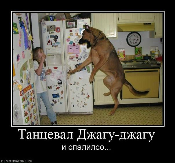 №53, Roma Minakov, Покровск / Красноармейск №53, Roma Minakov, Покровск / Красноармейск