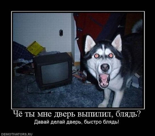 №9, Алексей Логинов, 37 лет, Мурманск №9, Алексей Логинов, 37 лет, Мурманск