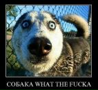 №3 Mike Kostunin 04.06.1990: профиль, фото, статус - ВКонтакте