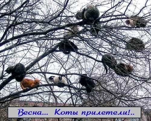 №14, Катюшка Джентемирова, Тула №14, Катюшка Джентемирова, Тула