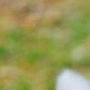 №34, Михаил Войтик, 28 лет, Минск №34, Михаил Войтик, 28 лет, Минск