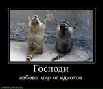 Фотография Андрей Ливик