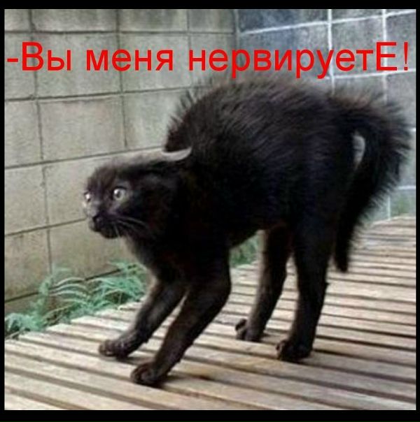 №16, Dima Михалёв №16, Dima Михалёв