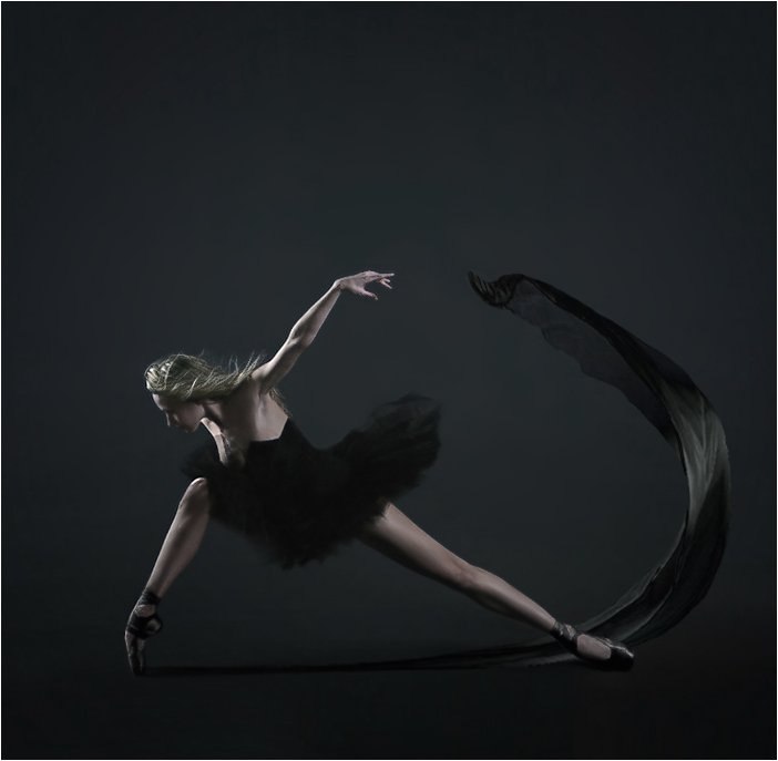 Роза Чёрная | 