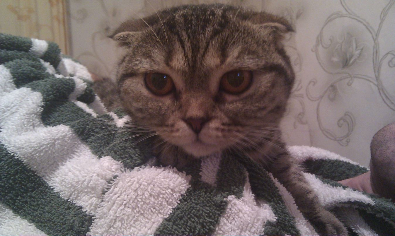 Света Юрченко Цветочек | Минск